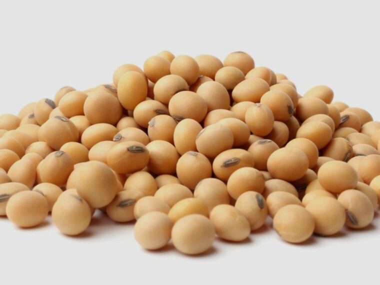 Non-GMO soybeans